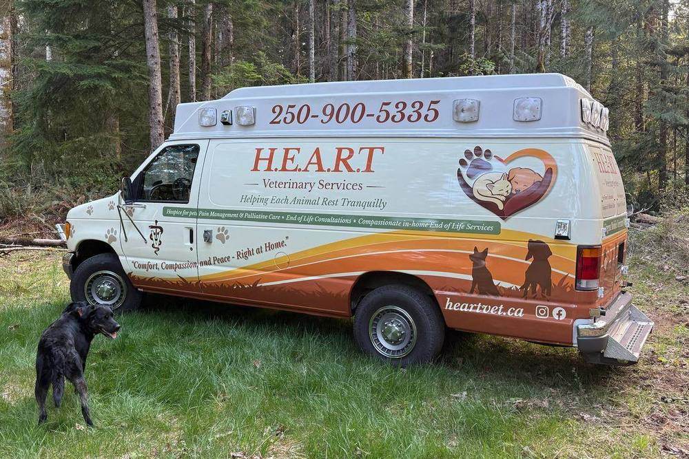 The H.E.A.R.T. Veterinary Services mobile unit parked in a forest clearing, with a black dog standing beside it